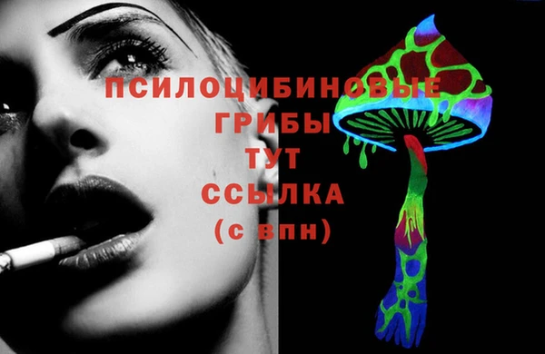 МДПВ Алексеевка