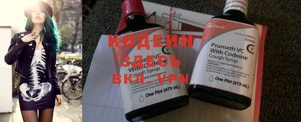 прущие грибы Арсеньев