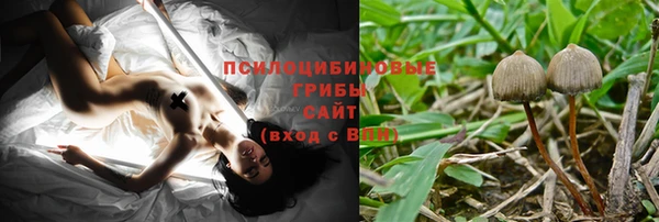 ГАЛЛЮЦИНОГЕННЫЕ ГРИБЫ Алзамай