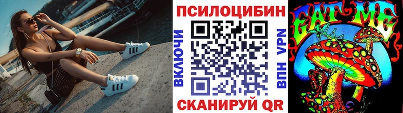 Купить закладки  Суоярви  Псилоцибиновые грибы Magic Shrooms 